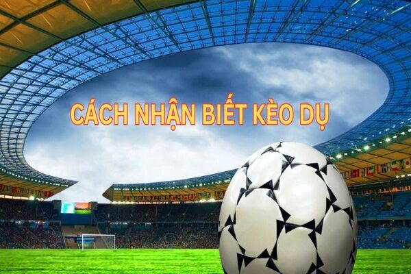 Đánh giá thông tin từng trận đấu là cách nhận biết kèo dụ chính xác 